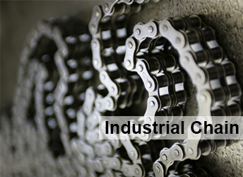 robo flex chains supplier in Delhi Ncr